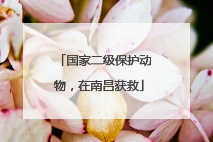 国家二级保护动物，在南昌获救