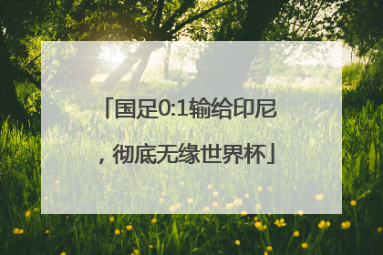 国足0:1输给印尼，彻底无缘世界杯