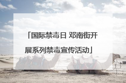 国际禁毒日 邓南街开展系列禁毒宣传活动