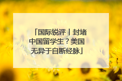 国际锐评丨封堵中国留学生？美国无异于自断经脉
