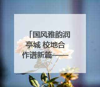 国风雅韵润亭城 校地合作谱新篇——团市委联合滁州城市职业学院助力传统文化“破圈”绽放