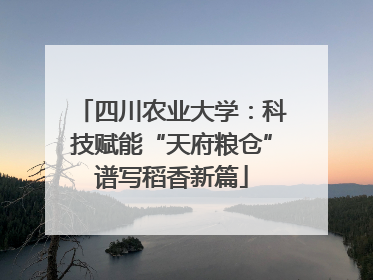 四川农业大学：科技赋能“天府粮仓”谱写稻香新篇