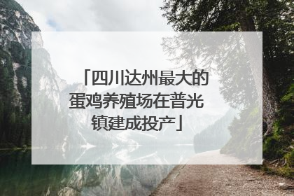 四川达州最大的蛋鸡养殖场在普光镇建成投产