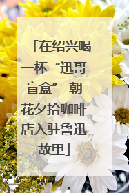 在绍兴喝一杯“迅哥盲盒” 朝花夕拾咖啡店入驻鲁迅故里