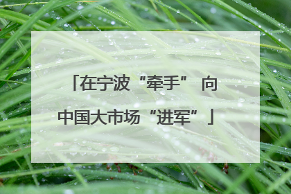 在宁波“牵手” 向中国大市场“进军”