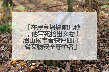 在崖墓坍塌前几秒，他冒死抢出文物！眉山杨宇春获评四川省文物安全守护者