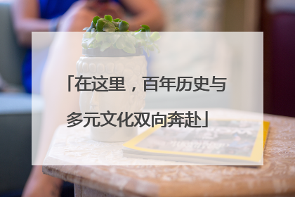 在这里，百年历史与多元文化双向奔赴