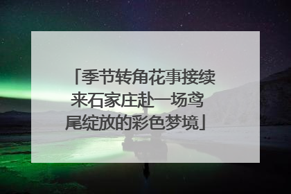 季节转角花事接续 来石家庄赴一场鸢尾绽放的彩色梦境