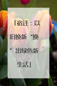 宿迁：以旧换新“换”出绿色新生活