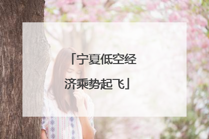 宁夏低空经济乘势起飞