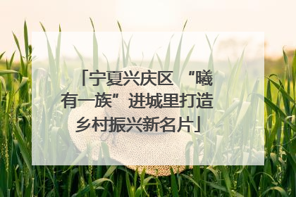 宁夏兴庆区 “曦有一族”进城里打造乡村振兴新名片