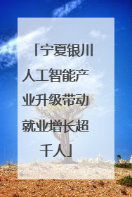 宁夏银川人工智能产业升级带动就业增长超千人