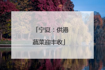 宁夏：供港蔬菜迎丰收