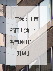 宁远：千亩稻田上演 “智慧种田” 升级