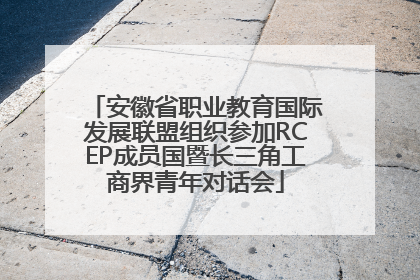 安徽省职业教育国际发展联盟组织参加RCEP成员国暨长三角工商界青年对话会