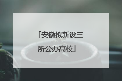 安徽拟新设三所公办高校
