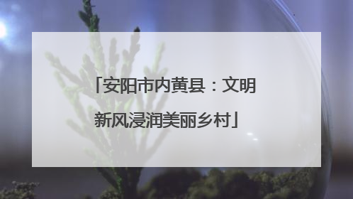 安阳市内黄县：文明新风浸润美丽乡村