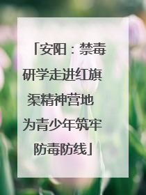 安阳：禁毒研学走进红旗渠精神营地 为青少年筑牢防毒防线