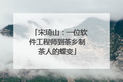 宋琦山：一位软件工程师到茶乡制茶人的蝶变