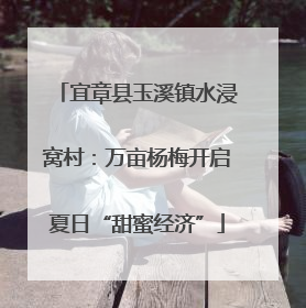 宜章县玉溪镇水浸窝村：万亩杨梅开启夏日“甜蜜经济”
