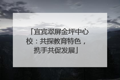 宜宾翠屏金坪中心校：共探教育特色，携手共促发展