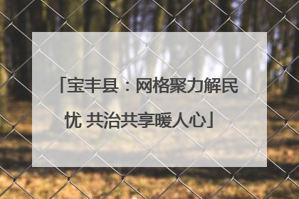 宝丰县：网格聚力解民忧 共治共享暖人心