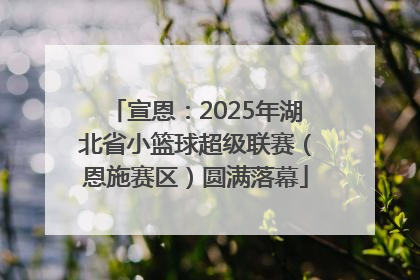 宣恩：2025年湖北省小篮球超级联赛（恩施赛区）圆满落幕
