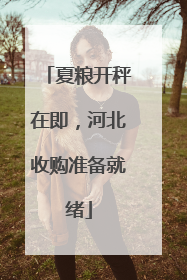 夏粮开秤在即，河北收购准备就绪