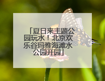 夏日来主题公园玩水！北京欢乐谷玛雅海滩水公园开园