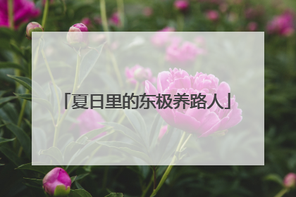 夏日里的东极养路人
