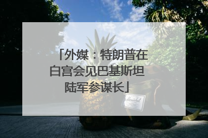 外媒：特朗普在白宫会见巴基斯坦陆军参谋长
