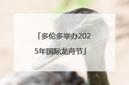 多伦多举办2025年国际龙舟节