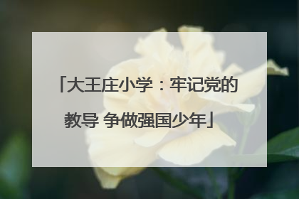大王庄小学：牢记党的教导 争做强国少年