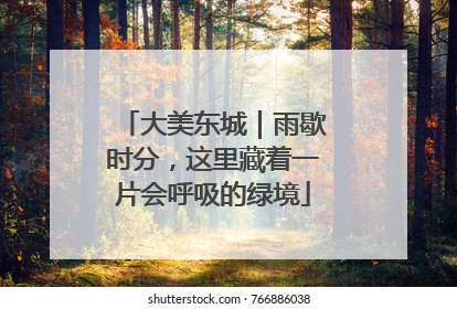 大美东城｜雨歇时分，这里藏着一片会呼吸的绿境