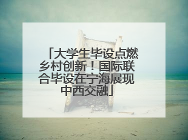 大学生毕设点燃乡村创新！国际联合毕设在宁海展现中西交融