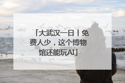 大武汉一日丨免费人少，这个博物馆还能玩AI