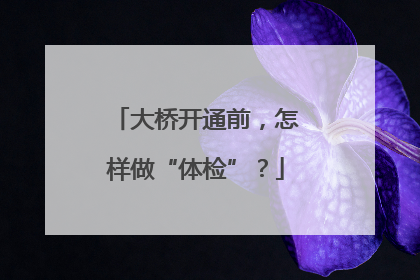 大桥开通前，怎样做“体检”？