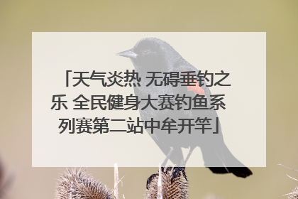 天气炎热 无碍垂钓之乐 全民健身大赛钓鱼系列赛第二站中牟开竿