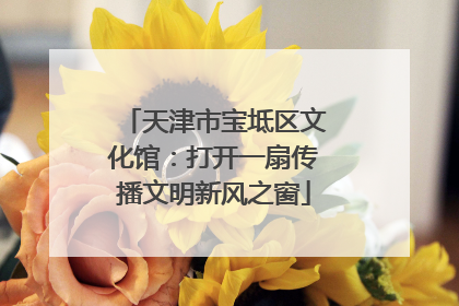 天津市宝坻区文化馆：打开一扇传播文明新风之窗
