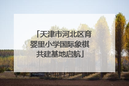 天津市河北区育婴里小学国际象棋共建基地启航