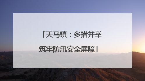 天马镇：多措并举筑牢防汛安全屏障