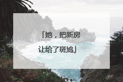 她，把新房让给了斑鸠