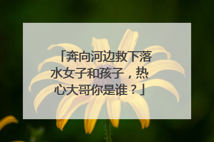 奔向河边救下落水女子和孩子，热心大哥你是谁？