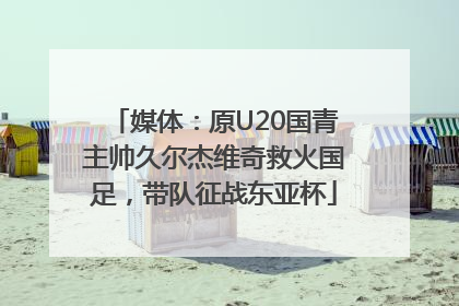 媒体：原U20国青主帅久尔杰维奇救火国足，带队征战东亚杯