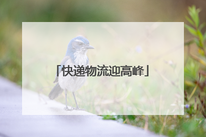 快递物流迎高峰