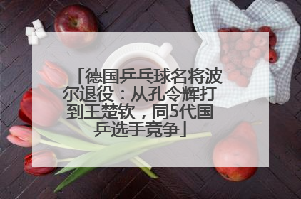 德国乒乓球名将波尔退役：从孔令辉打到王楚钦，同5代国乒选手竞争