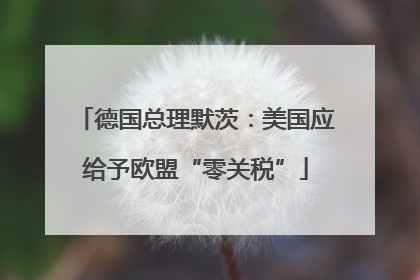 德国总理默茨：美国应给予欧盟“零关税”