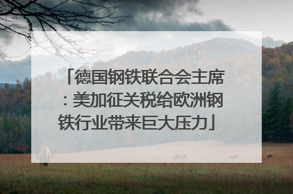 德国钢铁联合会主席：美加征关税给欧洲钢铁行业带来巨大压力