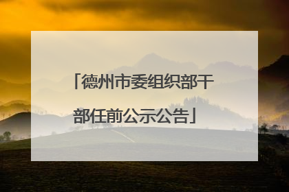 德州市委组织部干部任前公示公告