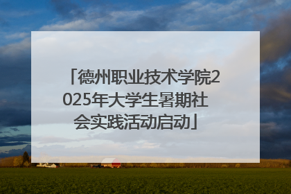 德州职业技术学院2025年大学生暑期社会实践活动启动
